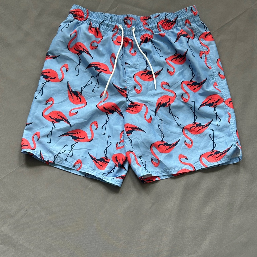Flamingo Print Swim Trunks - Blue and Red